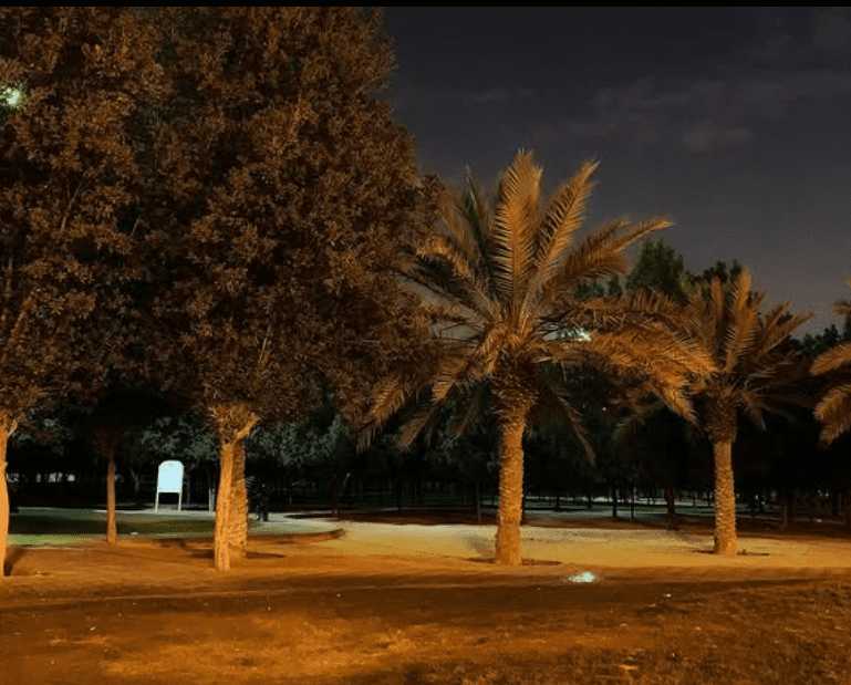 Al Rawda Park